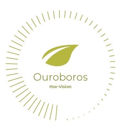 https://ouroborosx.com/wp-content/uploads/2025/03/Ouroboros-Hse-vision.jpg